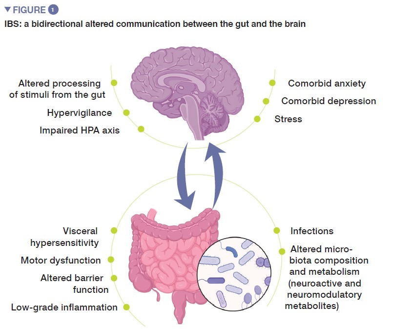Microbiota Gut Brain Axis In Irritable Bowel Syndrome Content For